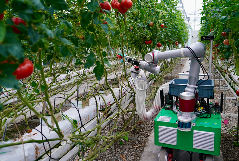 恒溫恒濕試驗箱可應用于農業機械設備測試試驗